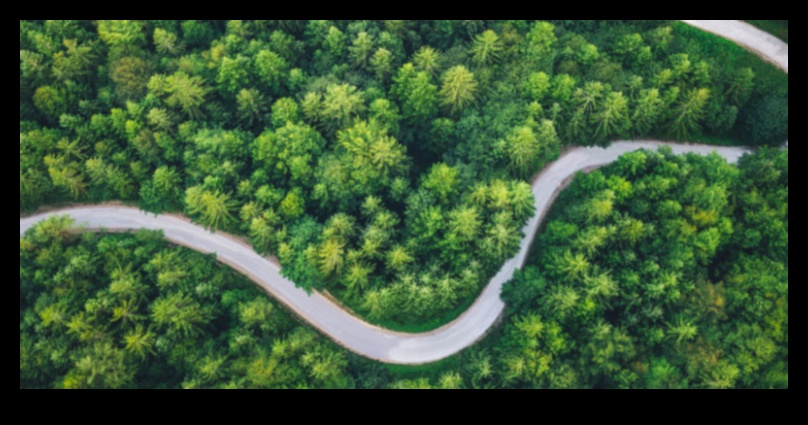 Travel on a Tally: Budget-Friendly Tales from the Road