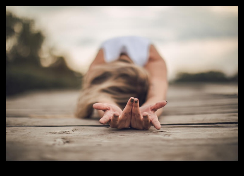 Soulful Stretch A Mind-Body Practice για ευελιξία, ειρήνη και χαρά 2 Soulful Stretch: Ασκήσεις μυαλού-σώματος για ευελιξία και ειρήνη