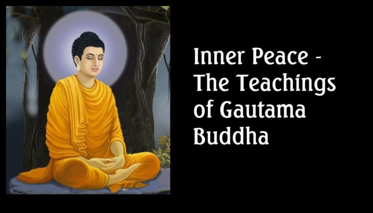 Meditation Illuminated: Essential Reads to Deepen Your Inner Peace