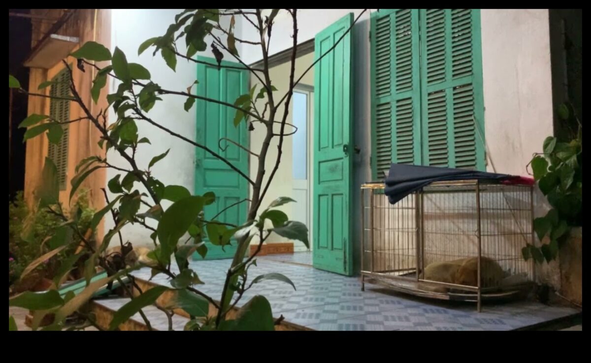 Homefront Hues: Painting Your World με τοπικά αξιοθέατα