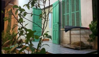 Homefront Hues: Painting Your World με τοπικά αξιοθέατα